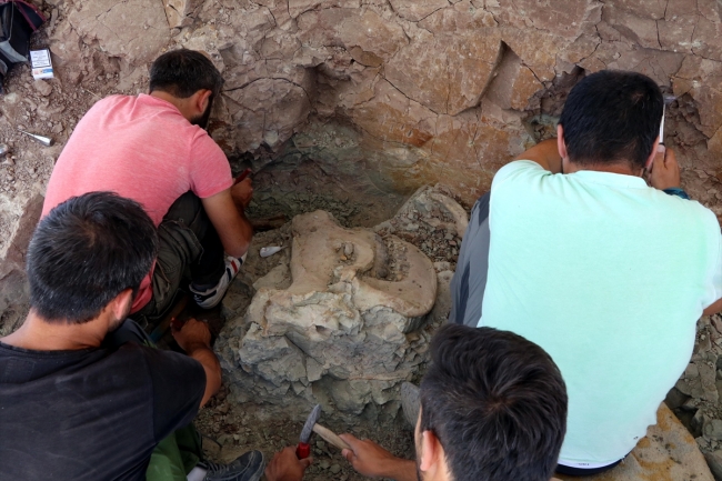 Çankırı'da 15 türde 140 parça fosile ulaşıldı