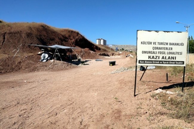 Çankırı'da 15 türde 140 parça fosile ulaşıldı