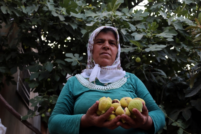 Hatay'da ev kadınları kış hazırlıklarına başladı