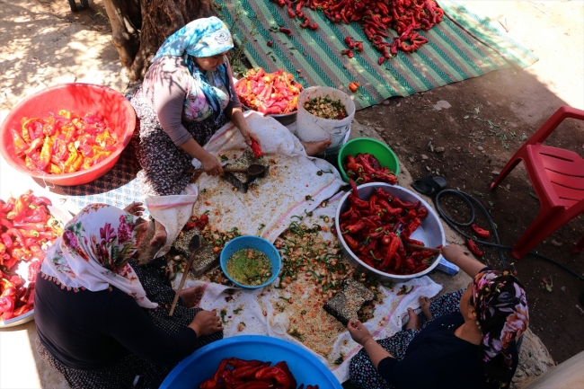 Hatay'da ev kadınları kış hazırlıklarına başladı