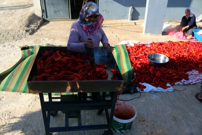 Hatay'da ev kadınları kış hazırlıklarına başladı