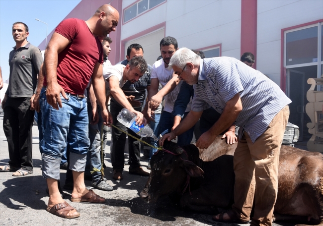 Kayseri'de depo yangını