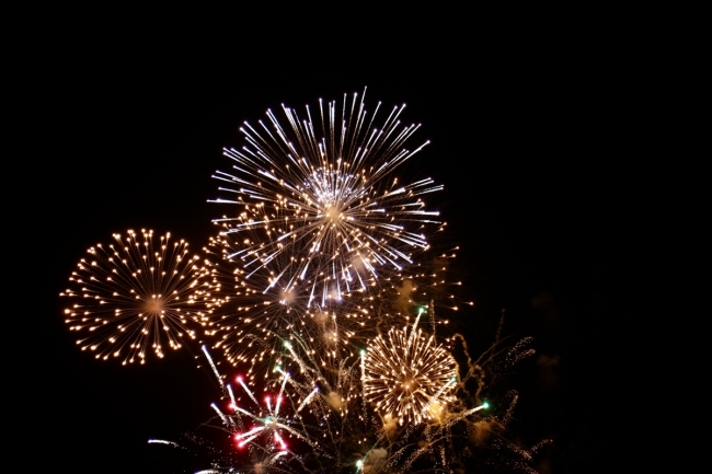 Hollanda'da Avrupa'nın en büyük havai fişek organizasyonu yapıldı