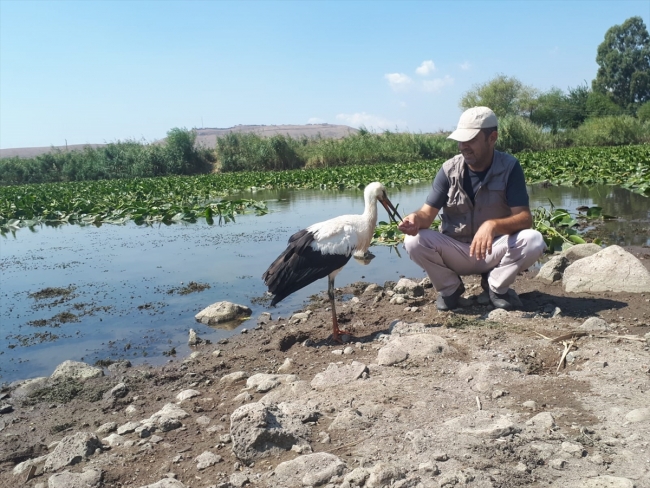 Afrin'de görevli Mehmetçik'in leylek şefkati