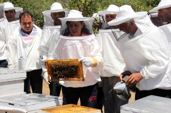 Toros Dağları'nın kadın arıcıları bal üretimine hazırlanıyor