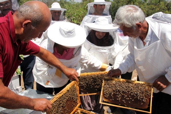 Toros Dağları'nın kadın arıcıları bal üretimine hazırlanıyor