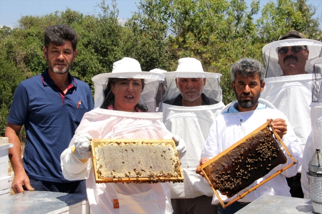 Toros Dağları'nın kadın arıcıları bal üretimine hazırlanıyor