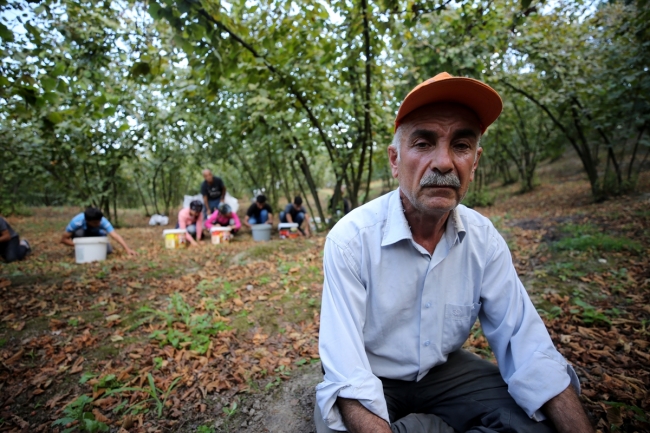 Mevsimlik tarım işçileri bayramı tarlada geçiriyor