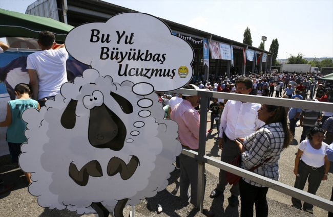 Ankara Açık Ceza İnfaz Kurumu'nda kurban kesimi