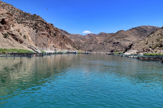 Elazığ'dan Avrupa ve Japonya'ya balık ihracatı