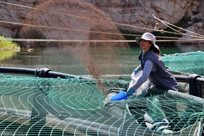 Elazığ'dan Avrupa ve Japonya'ya balık ihracatı