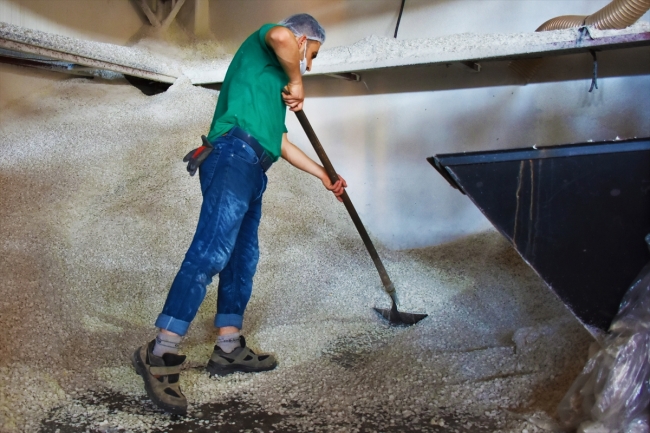 "Atık avcıları" temiz bir dünya için gece gündüz çalışıyor