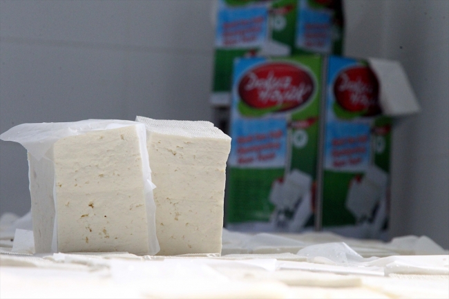 Kırklareli peyniri 16 ülkede sofraları lezzetlendiriyor