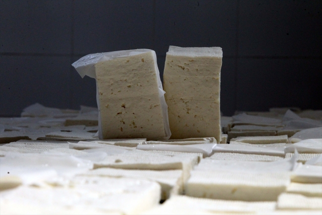 Kırklareli peyniri 16 ülkede sofraları lezzetlendiriyor