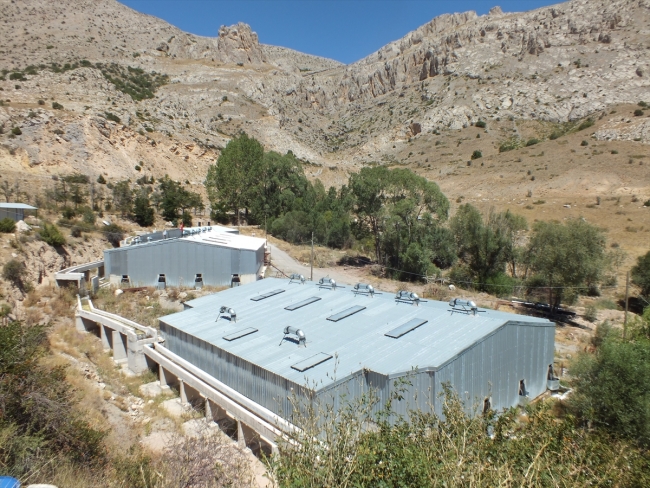 Sivas'ta üretilen alabalıklar Avrupa'da sofraları lezzetlendiriyor