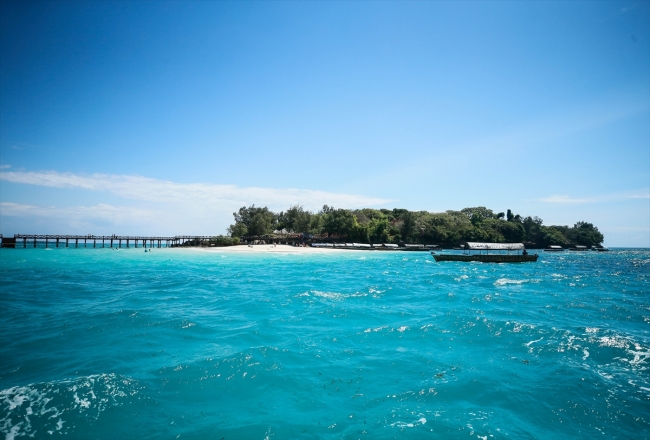 Dev kaplumbağaların yuvası: Changuu Adası