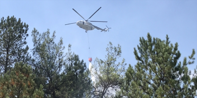 Karabük'te orman yangını
