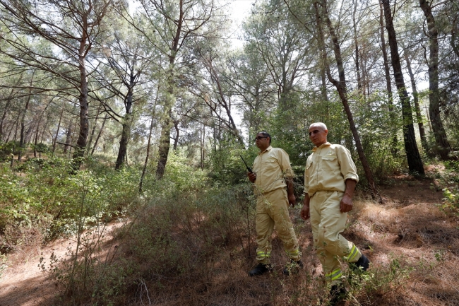 Orman yangınlarıyla 30 yıldır mücadele ediyor