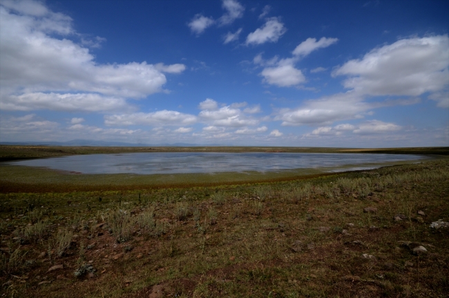 Asboğa Gölü turizme kazandırılacak