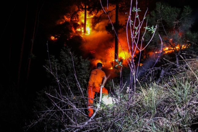 Kütahya'da çıkan orman yangınına müdahale ediliyor