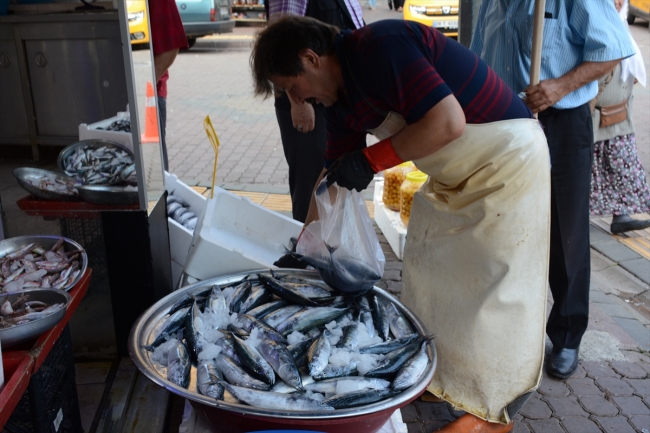 Balık fiyatları düşüyor