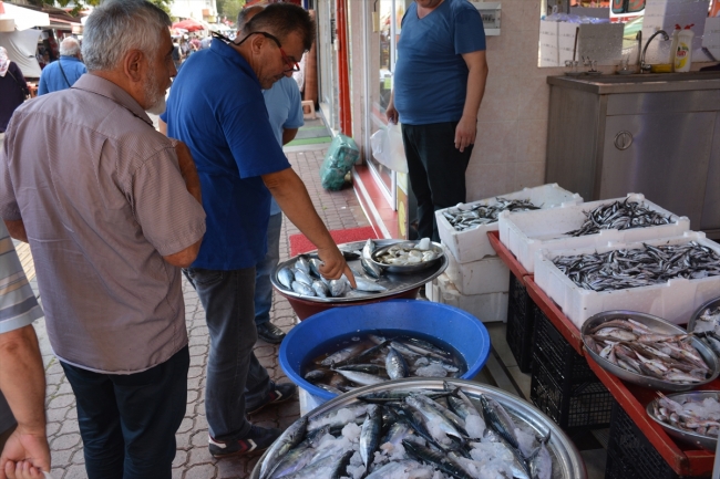 Balık fiyatları düşüyor