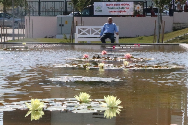 Bolu'da açılan "Nilüfer Sanat Parkı" ziyaretçilerini bekliyor