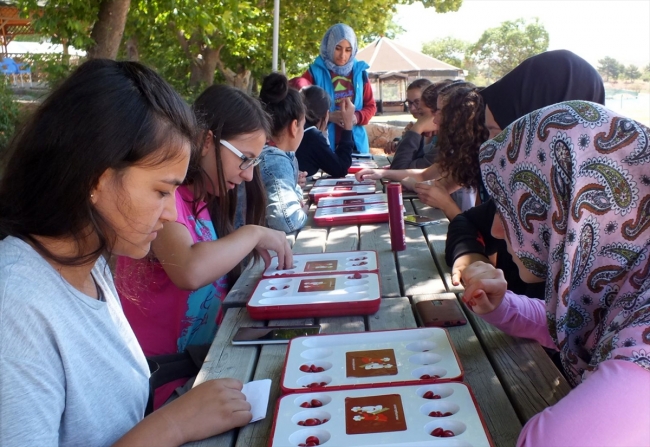 Doğa kampı gençlerin isteklerine göre düzenleniyor
