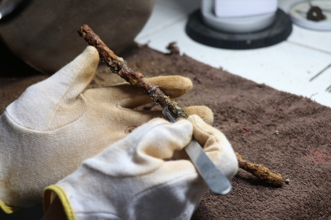 Sirkeli Höyüğü'nde yeni yerleşim alanı bulundu