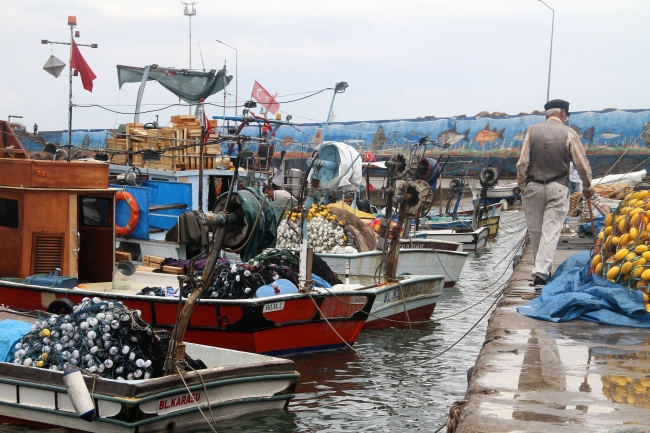 Sezon palamut bereketiyle başladı