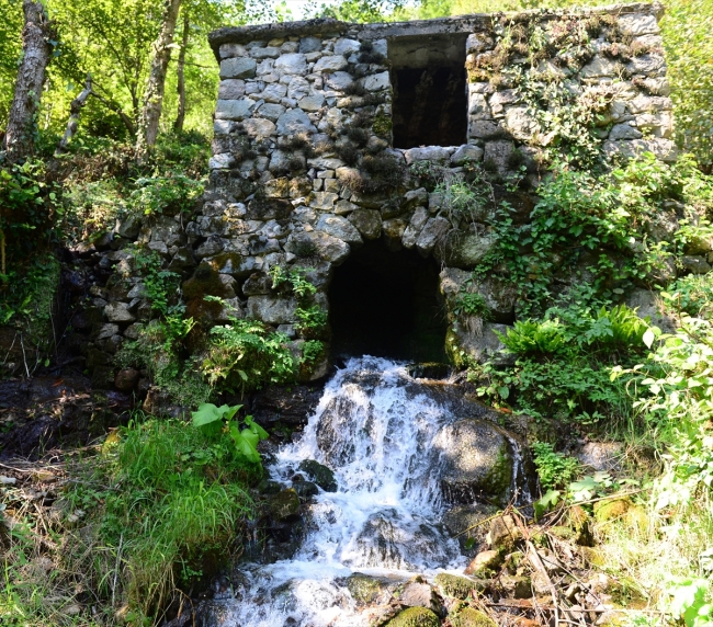 Asırlık ağaçlarıyla tabiat harikası Yedi Değirmenler
