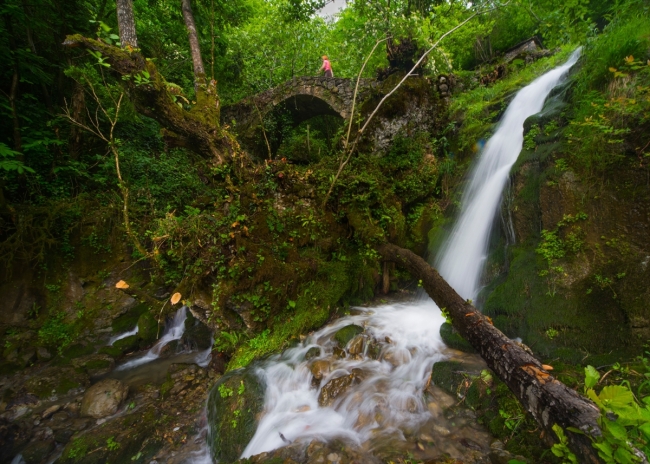 Asırlık ağaçlarıyla tabiat harikası Yedi Değirmenler
