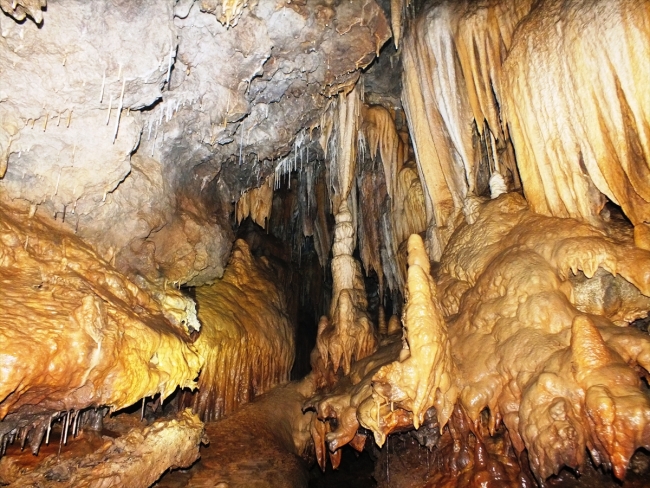 Asırlık ağaçlarıyla tabiat harikası Yedi Değirmenler