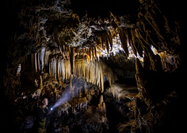 Asırlık ağaçlarıyla tabiat harikası Yedi Değirmenler