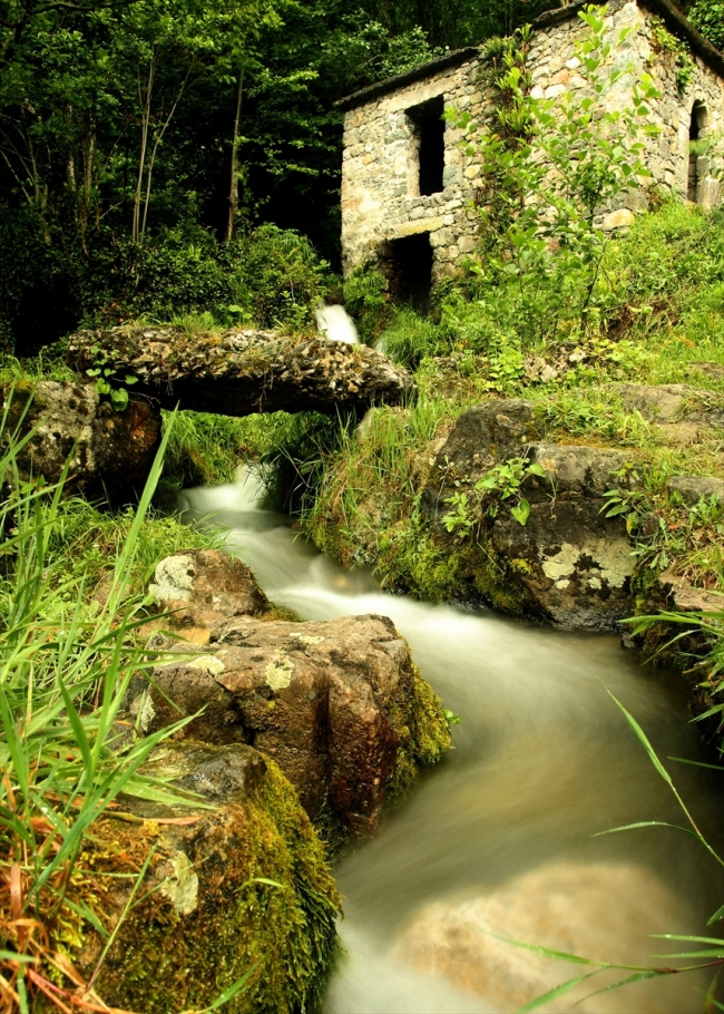 Asırlık ağaçlarıyla tabiat harikası Yedi Değirmenler