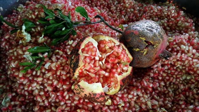 Geleneksel yöntemlerle nar ekşisinin sofralara zahmetli yolculuğu