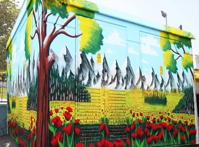 Sinoplu çift Siirt'in sokaklarını renklendiriyor