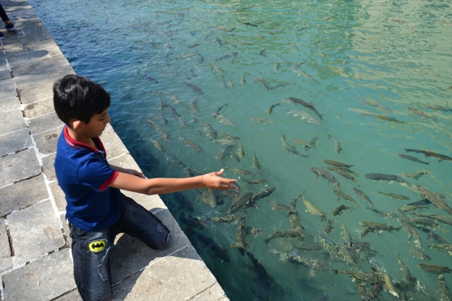 Kur'an-ı Kerim ve ney eşliğinde Balıklıgöl ziyareti