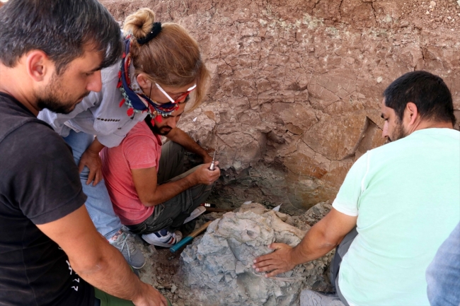 Fosil yatağındaki kazılarla 8 milyon yıllık tarihin izlerini arıyor