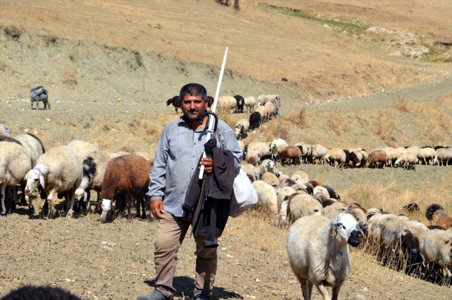 Doğu Anadolu'da yaylacıların dönüş yolculuğu başladı