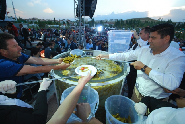 Çubuk turşusu Guinness Dünya Rekorlar Kitabı'nda