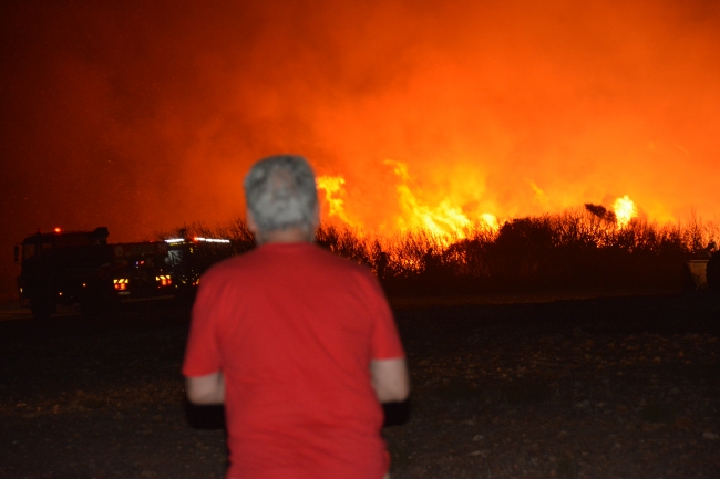 Aydın'da makilik alanda yangın