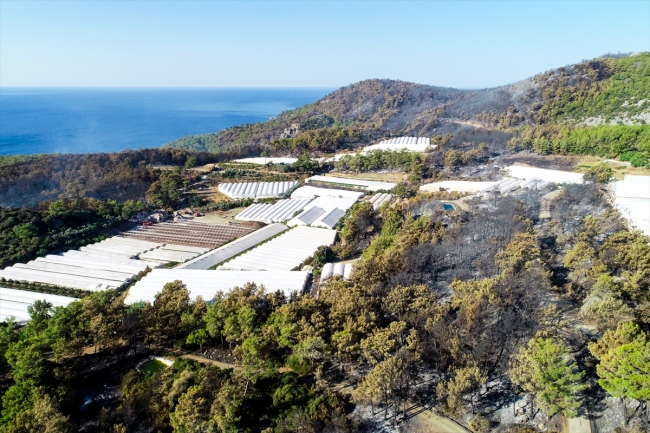 Kumluca'daki orman yangınında 70 hektar alan zarar gördü