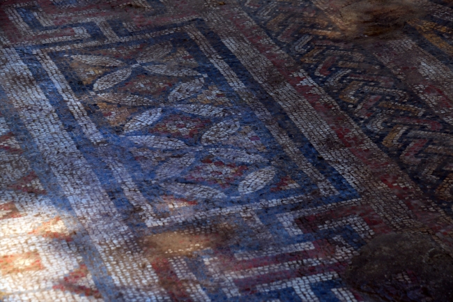 Nysa Antik Kenti'nde 25 metre uzunluğunda taban mozaiği bulundu