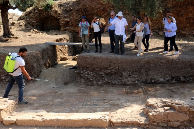 Nysa Antik Kenti'nde 25 metre uzunluğunda taban mozaiği bulundu