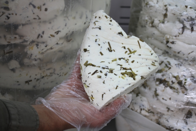 Van kahvaltılarını lezzetlendiren otlu peynir artık tescilli