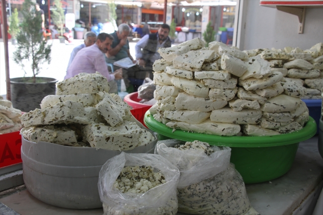 Van kahvaltılarını lezzetlendiren otlu peynir artık tescilli