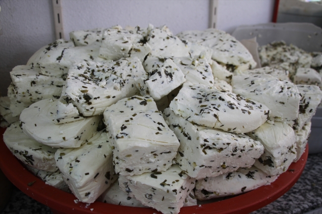 Van kahvaltılarını lezzetlendiren otlu peynir artık tescilli