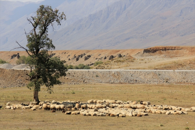 Göçerlerin yayladan köye zorlu dönüş yolculuğu