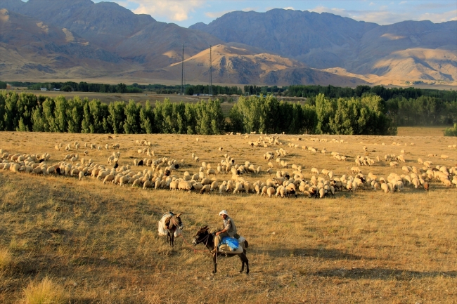 Göçerlerin yayladan köye zorlu dönüş yolculuğu